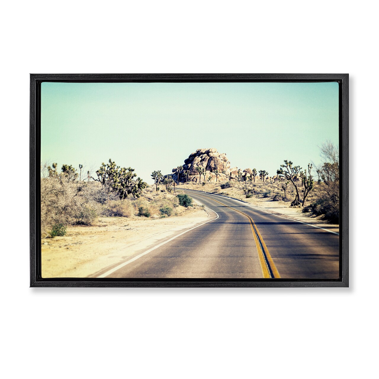 Stupell Industries Road Trip Joshua Tree Park Floating Frame, design by Joseph S Giacalone